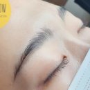 도트앤플로우 이미지