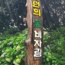 폴리크롬스튜디오