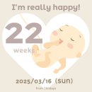 [혼전 임신 22주차 일기] 정밀초음파, 드디어 살림 합침, 새로운 신혼집으로 이사 완료 ! 평화로운 임신...