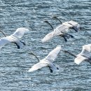 정의2리 이미지