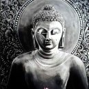 향기고운Ⅱ 이미지