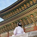 경복궁 야간관람 한복대여 추천 한복남 경복궁점 후기
