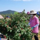 고창군보건소 이미지