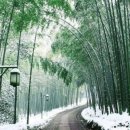 꽃메산어린이공원 이미지