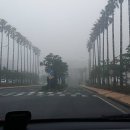 스테이 732 이미지