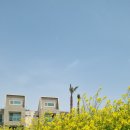 안덕산방도서관 이미지