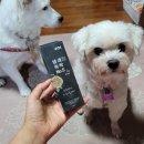 조타 생활과학연구소 이미지