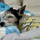 시대장모텔 이미지