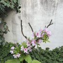 호텔얌(광주금호점) 이미지