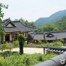 순천전통야생차체험관 화장실 티스토리