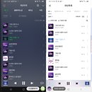 이설레임
