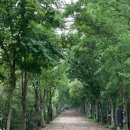 연희옥 | 경주 천년의숲 맛집 연희옥 칠불암가는길 천년숲정원 한우국밥 잘하는 집