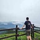 팔팔한우촌 | [2025.08.11~08.12] 정선, 영월 1박2일 여행