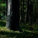 씨더블유환경 이미지