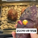 세븐일레븐 안성1공단행복점 이미지