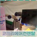코끼리렌탈 - 강진군 마량공단길 3 | 코끼리렌탈