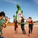(주)제주카카오렌트카 이미지