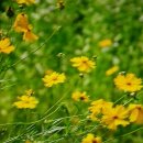 바람부는날