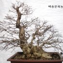 소사농원 이미지