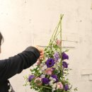 화훼장식기능사 이미지