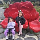 대공원 동물병원 | 울산대공원 키즈테마파크 동물원 방문기 | 울산 가족여행 2일차