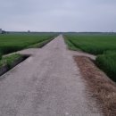 덕동정미소 이미지