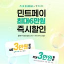 에어랜드항공 이미지