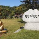 광명도덕산캠핑장 이미지