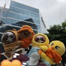 SBS | 260816 SBS인기가요 생방 방청 후기🧡스키즈🧡