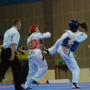 경희대세계로태권도 이미지