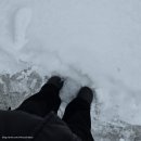 신미사