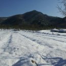 구미1동 이미지