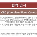 온아동물의료센터 이미지