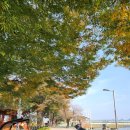 경천애인마을 | [에코레일후기]25.11.5 완주 대둔산 단풍 라이딩, 완주맛집 고산미소한우,연산할머니순대국밥, gpx파일