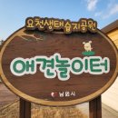 요천생태습지공원 애견놀이터 이미지