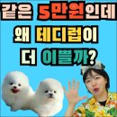 대실역남로4길 이미지