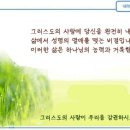 일일예화말씀묵상 2022년 11월 14일 (월) - 따지는 신앙 이미지