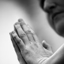 예당한방병원 이미지