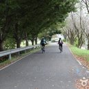 만경강길 6코스 이미지