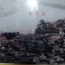 임진장 Daum카페