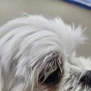 멍무드 살롱 이미지