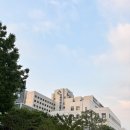 다담해장국 | 전북대 맛집 다담감자탕 순살 뼈해장국 내돈내산 혼밥 후기