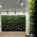 청양읍사무소 이미지