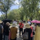 부여 서울농장 이미지