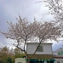 대륜세탁소 이미지