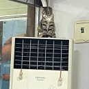 금광 현대정비센타 이미지