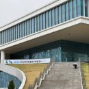 안성비단잉어 | 2025 관상어 파충류 박람회 수원 컨벤션센터 다녀온 후기