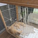 만재농장 | 두 돌 아기와 치유농장 뒤란