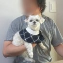 양장기능사 | 노라노 패션학원_초보자도 쉽게 배우는 옷만들기 원데이클래스 후기, 양장기능사 과정 수강 가능!!