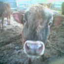 우리 수정소 이미지